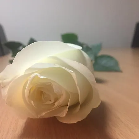 Euro Готель Тімішоара